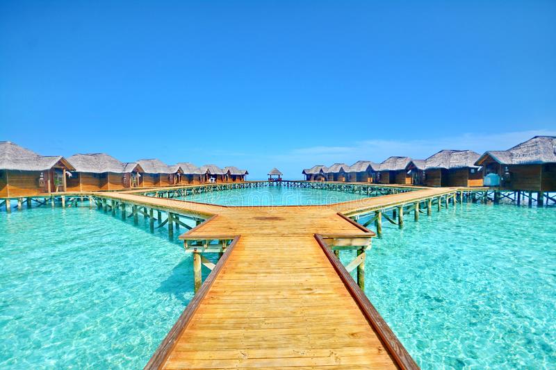 Fihalhohi Island Resort — image 2