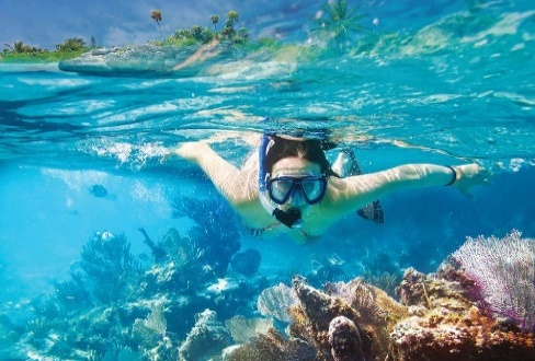 Scuba Diving Discovery — image 2