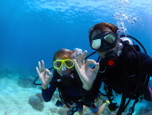 Scuba Diving Discovery — image 3