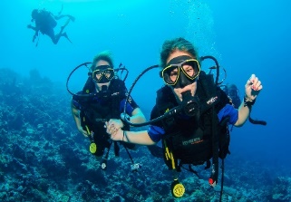 Scuba Diving Discovery — image 4
