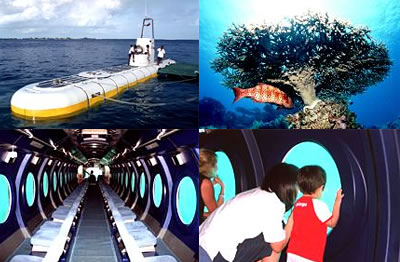 Whale Submarine Tour — image 1